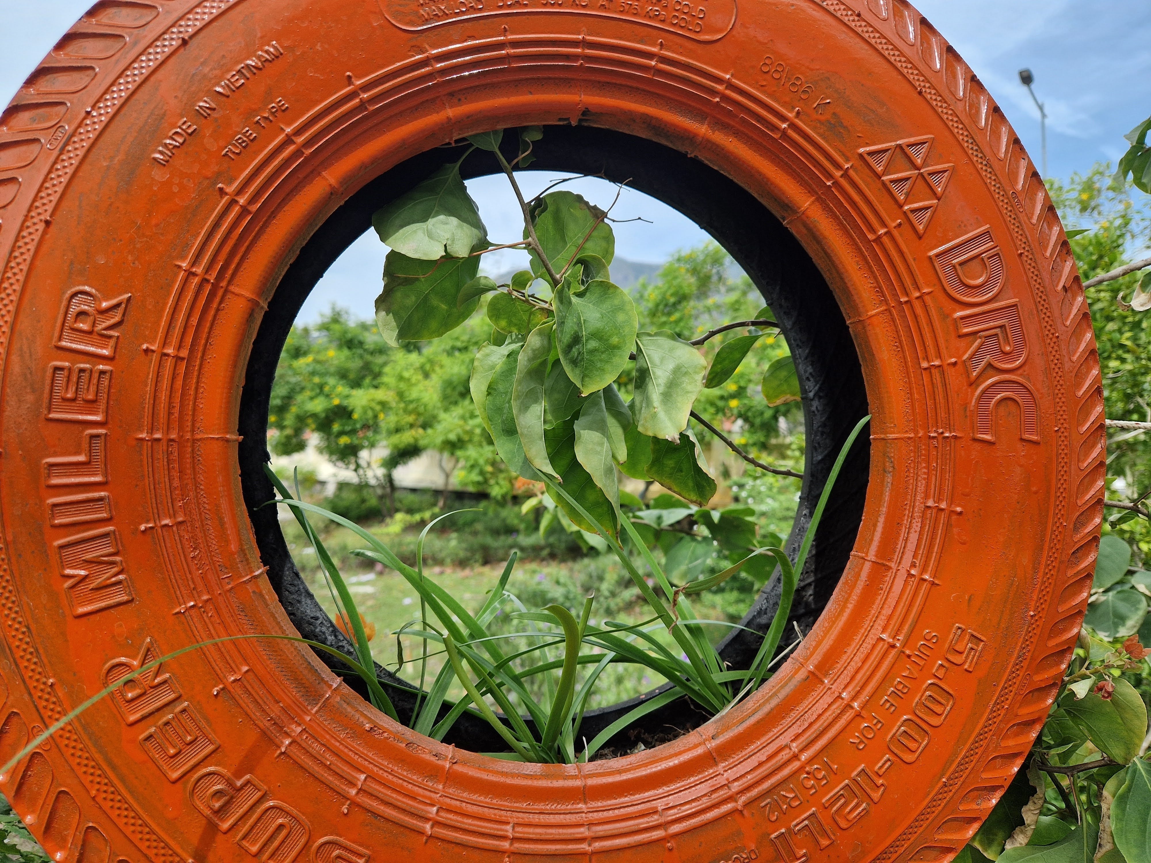 Sådan vælger du det rigtige svampetilskud – guide til kvalitet og renhed