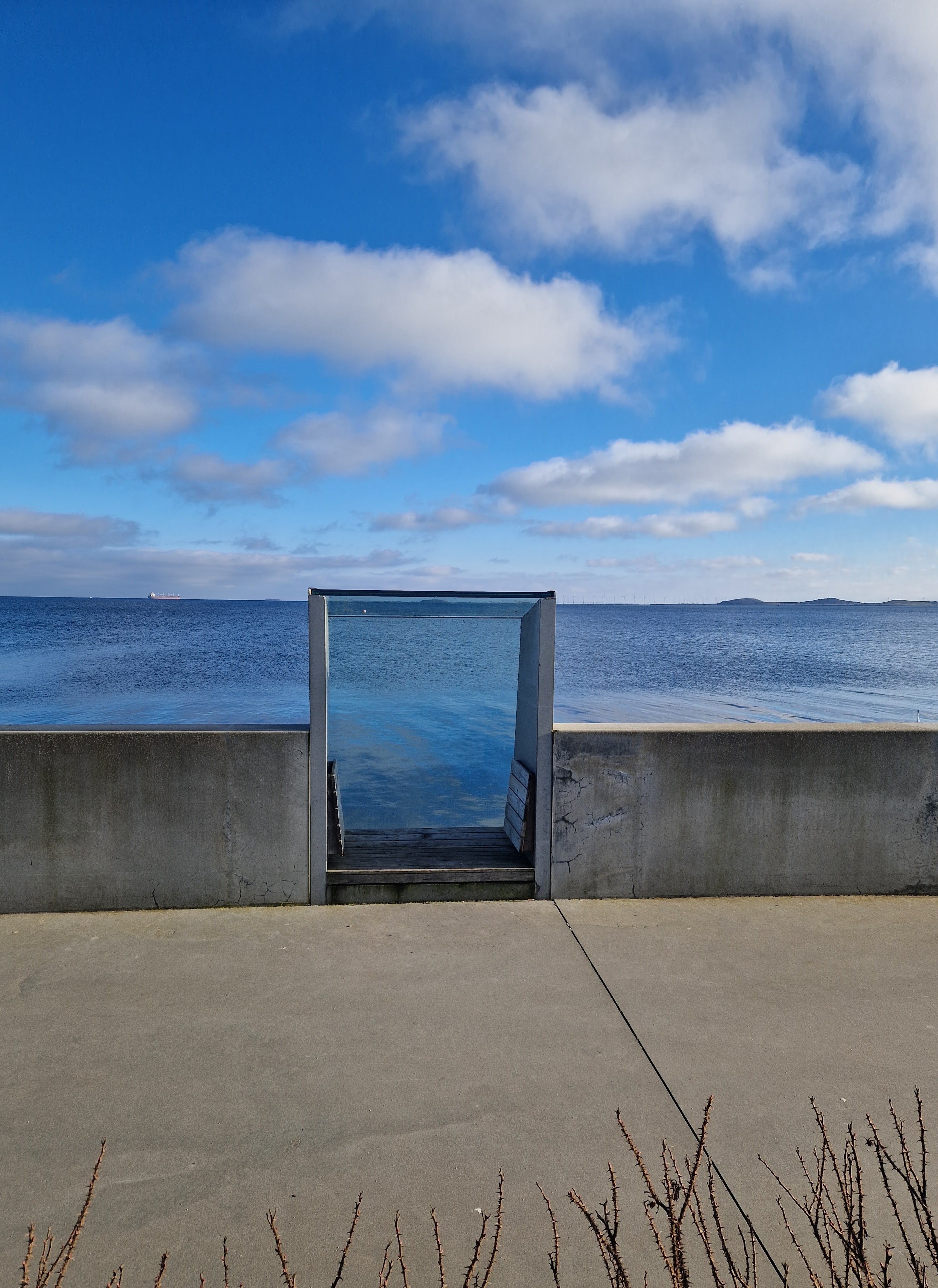 Renhed, research og ragu – sådan bruger vi Agaricus Blazei