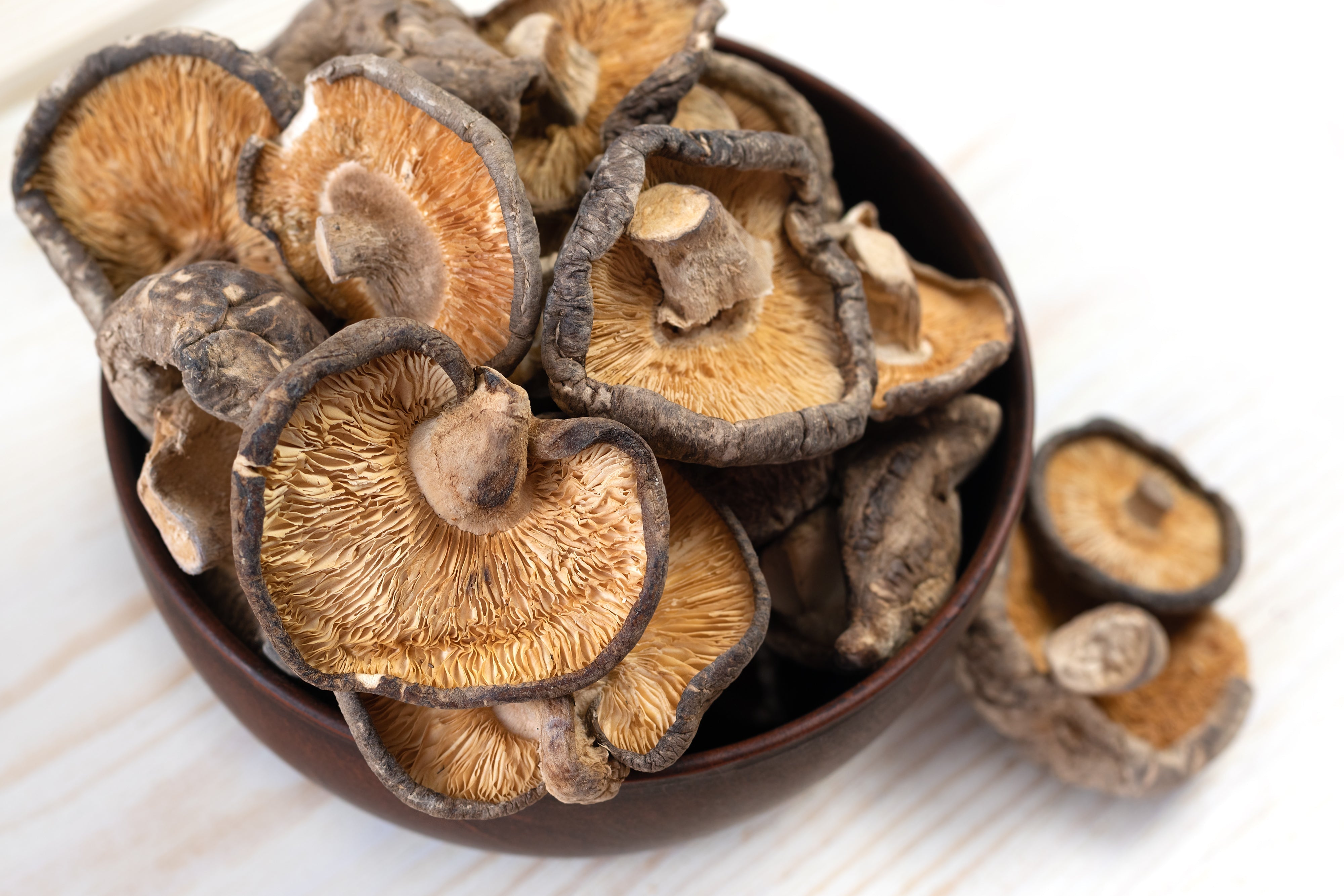 Hvad er AHCC? En introduktion til Shiitake‑mycelium ekstrakt hos SUKIHA