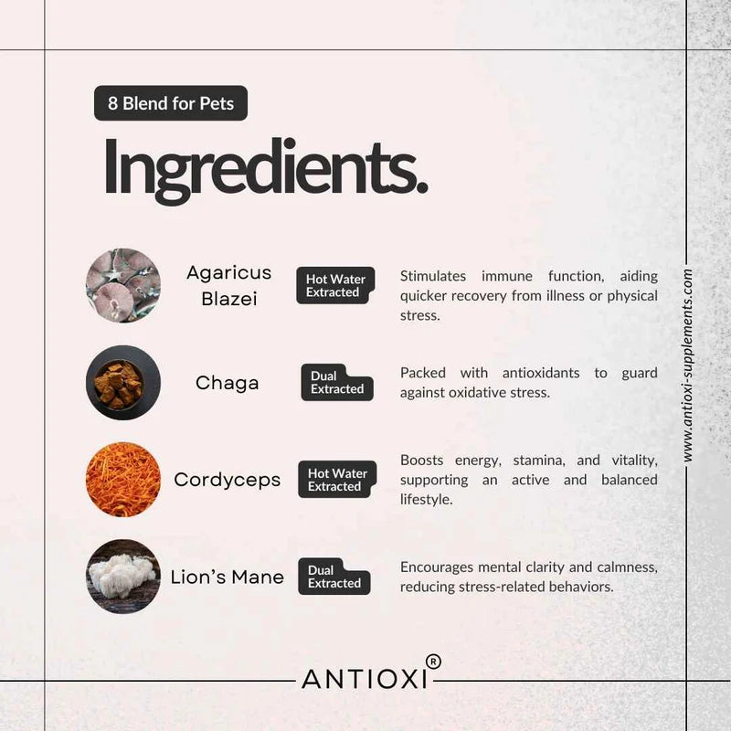 Antioxi® 8 Mushroom Blend til Kæledyr – Premium svampetilskud til hunde og katte