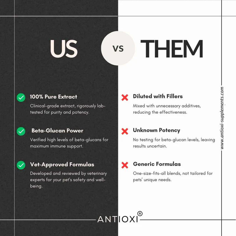 Calm & Comfort Pets – Premium Pulversvampeblanding til Kæledyr (100g)