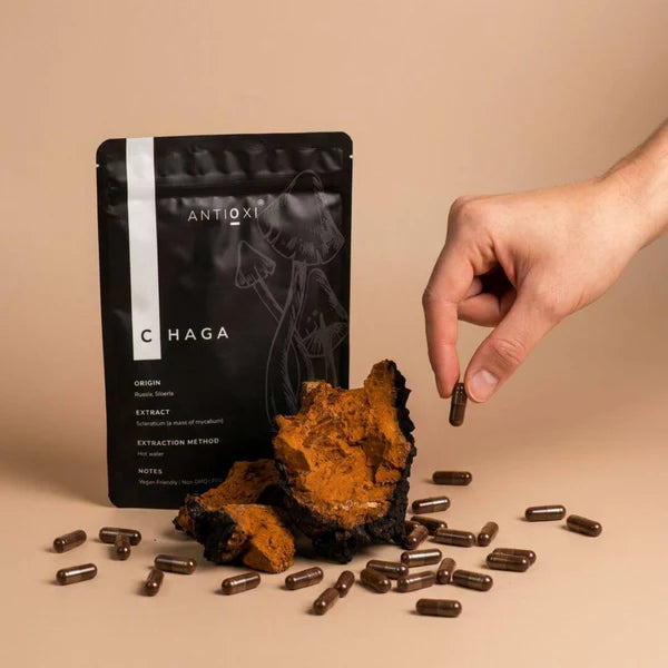 Chaga Svampeekstrakt Kosttilskud – 90 Kapsler