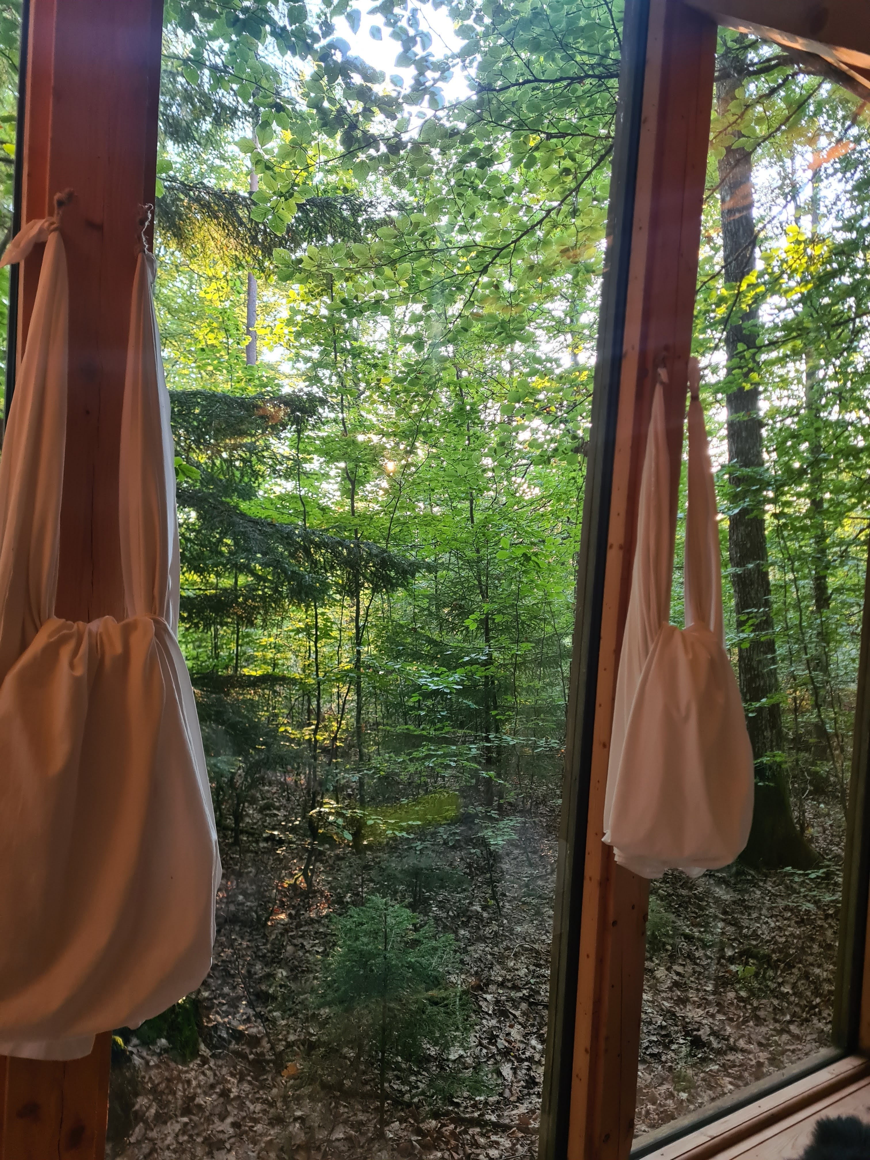 Biohacking for begyndere  – Små vaner med stor effekt