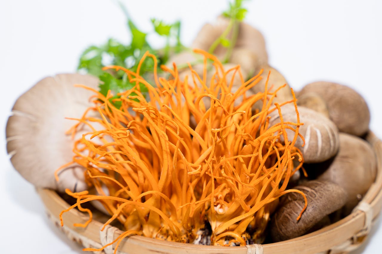 Cordyceps svampe - funktionelle svampe til kosttilskud