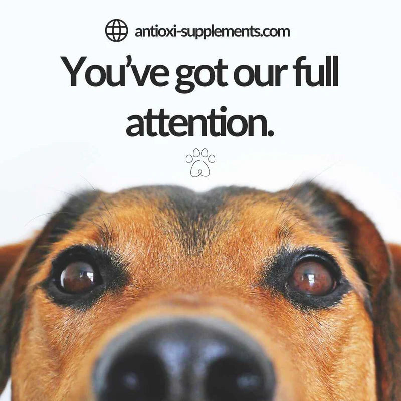 🎁Balance, ro & immunforsvar til Kæledyr Turkey Tail + 1 Calm&Comfort blend