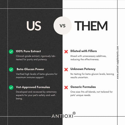 Antioxi® 8 Mushroom Blend til Kæledyr – Premium svampetilskud til hunde og katte