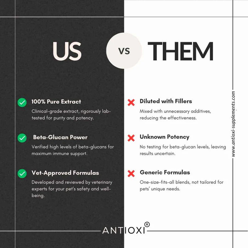 Antioxi® 8 Mushroom Blend til Kæledyr – Premium svampetilskud til hunde og katte