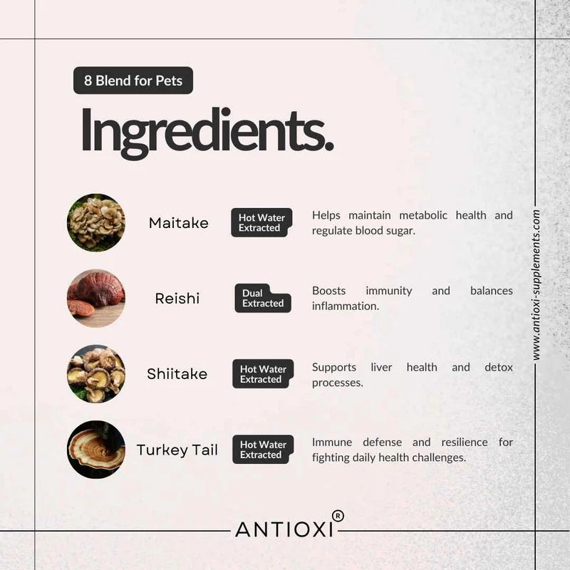 Antioxi® 8 Mushroom Blend til Kæledyr – Premium svampetilskud til hunde og katte