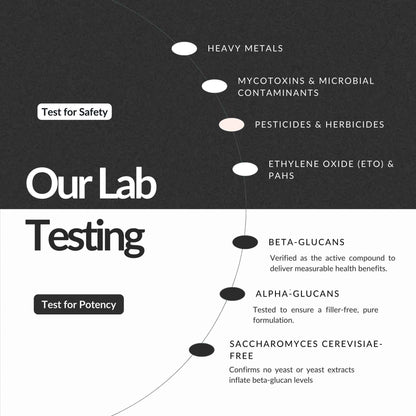 Enokitake Pulver 100g