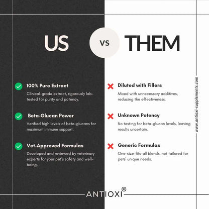 Calm & Comfort Pets – Premium Pulversvampeblanding til Kæledyr (100g)