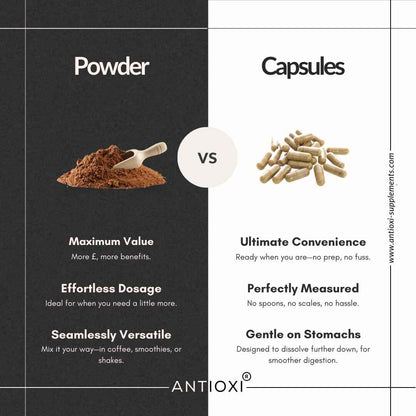 Lions Mane Kapsler 90 stk