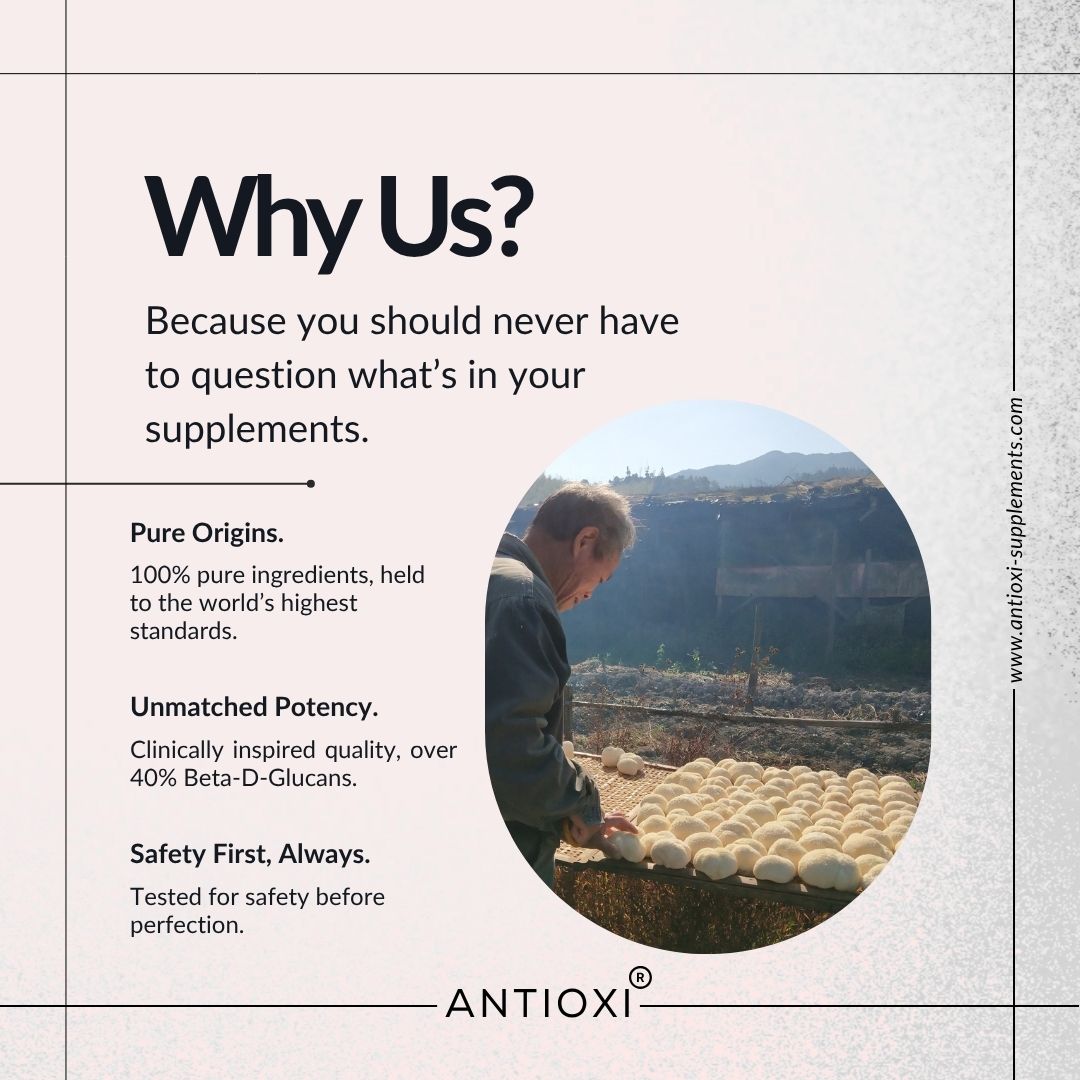 Lions Mane Kapsler 90 stk