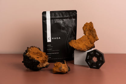 Chaga Premium Svampetilskud - 90 Kapsler á 500mg