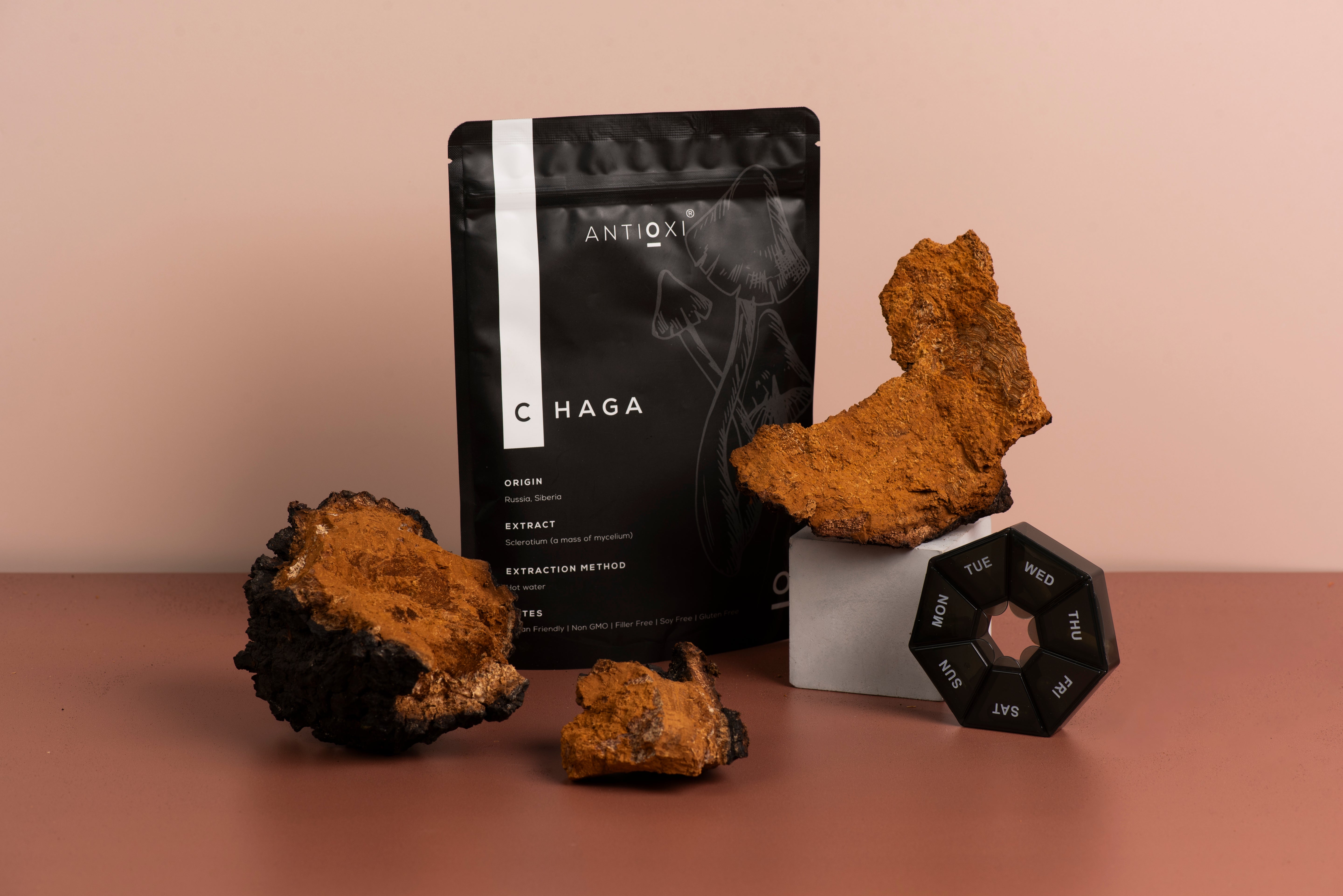 Chaga Premium Svampetilskud - 90 Kapsler á 500mg