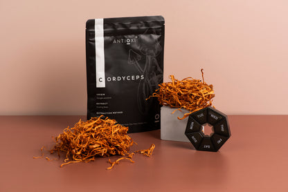 Cordyceps Premium Svampetilskud - 90 Kapsler á 500mg