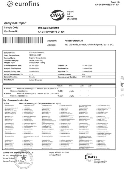 Chaga Svampetilskud - 90 Kapsler