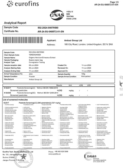 Lions Mane Kapsler 90 stk