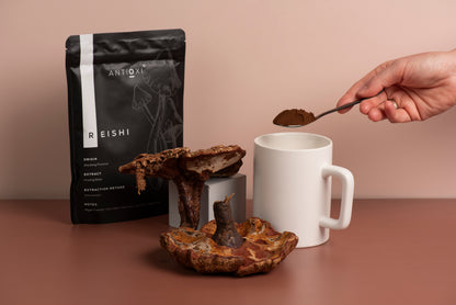 Reishi Kapsler 90 stk