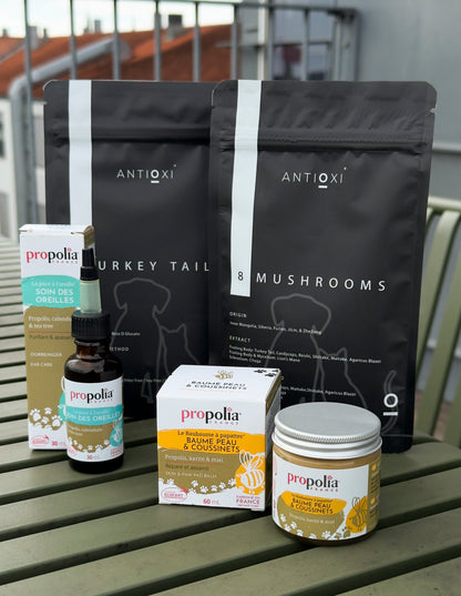 Turkey Tail Svampeekstrakt til Kæledyr 100g - Premium Pulver fra Antioxi