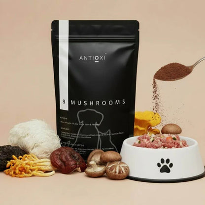 Lions Mane & 8 Mushroom Blend til Kæledyr
