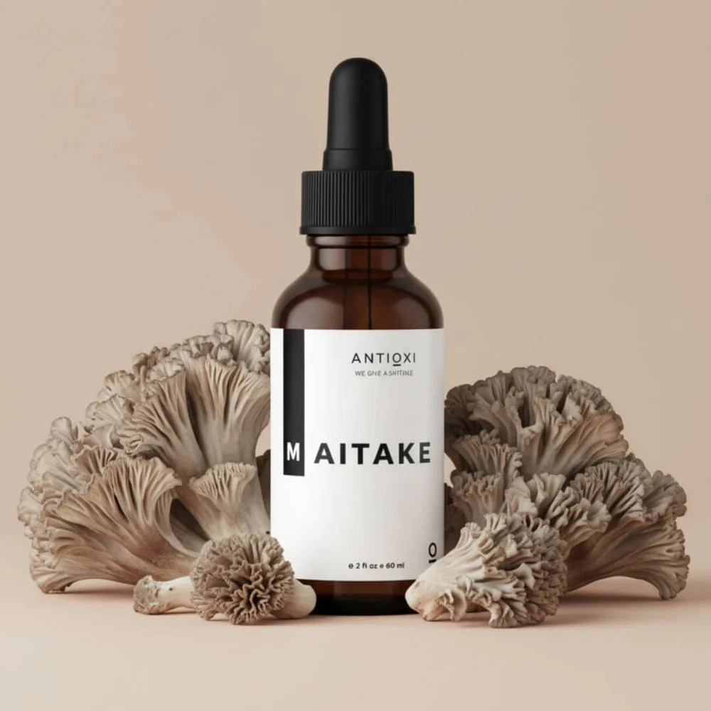 Maitake Tinktur 60ml
