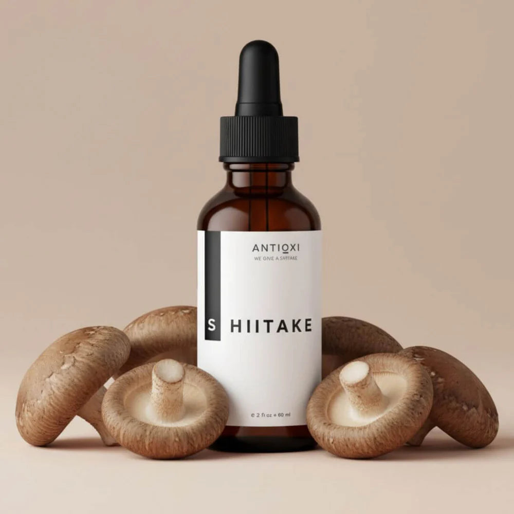 Shiitake Tinktur 60 ml